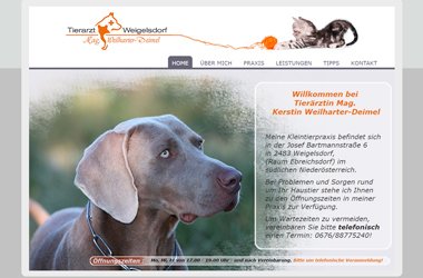 webdesign-tierarzt