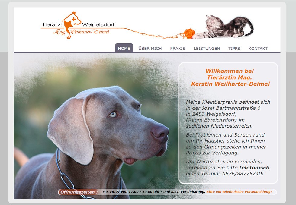 tierarzt-Website